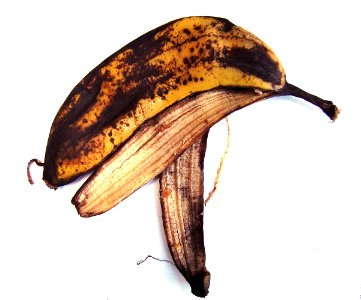 BananaSkin