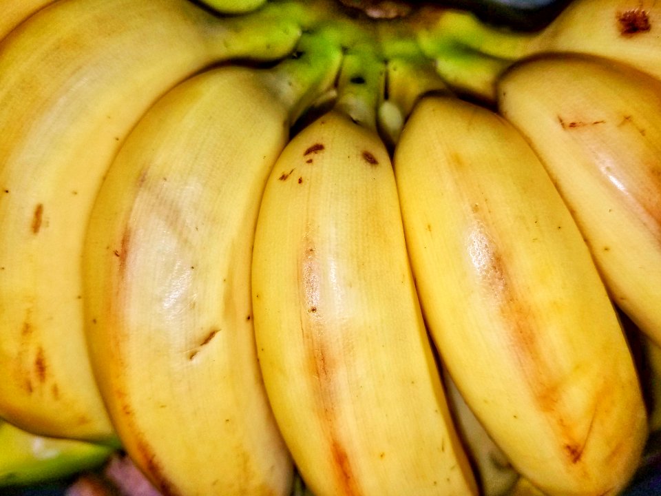 Bananas - Massachusetts