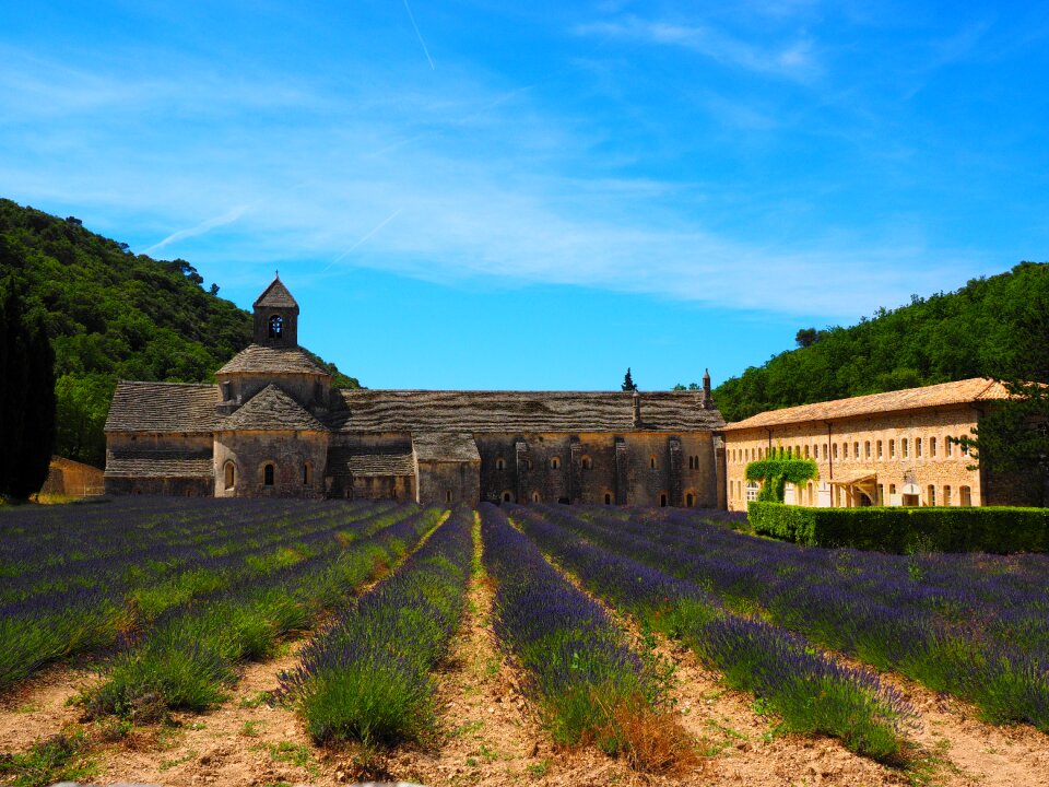 Notre dame de sénanque the order of cistercians gordes