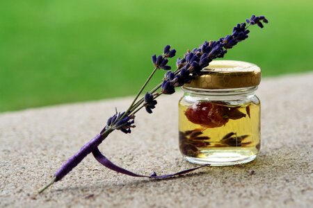 Aromatherapy essential flower photo