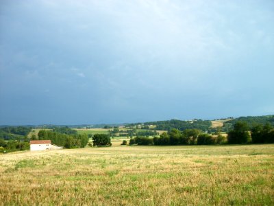 Balesta 31