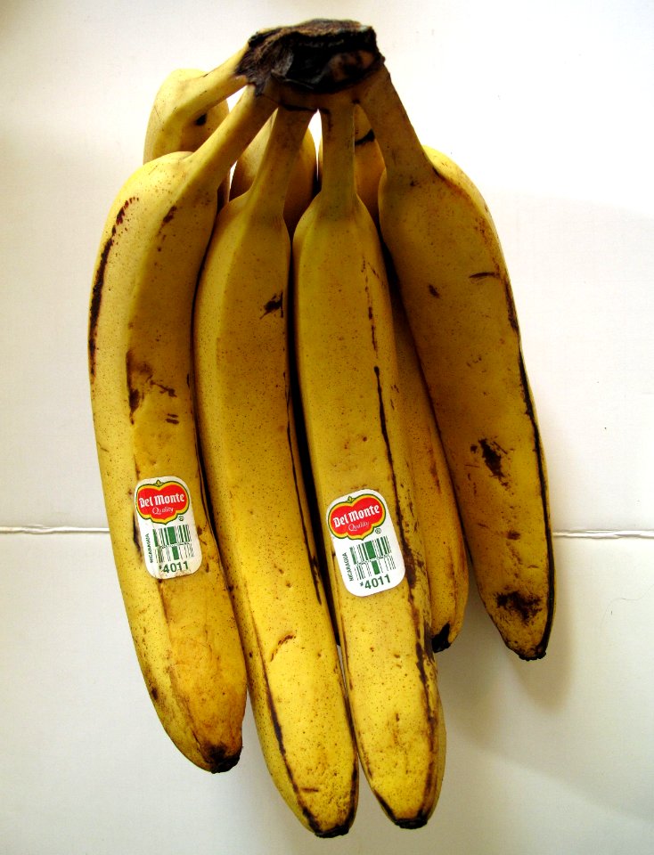 Bananas of Nicaragua