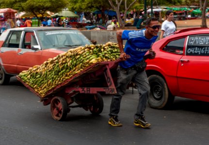 Banana vendor carrying their products photo