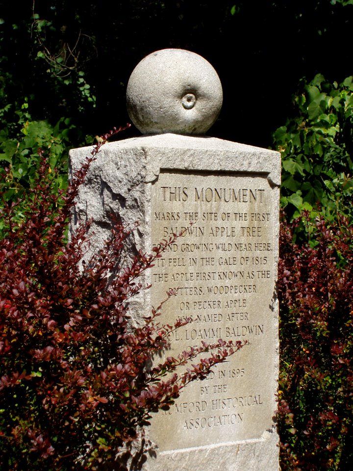 Baldwin Apple Monument, Wilmington, Massachusetts