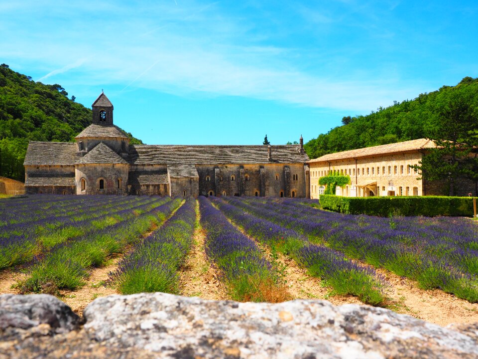 Notre dame de sénanque the order of cistercians gordes photo