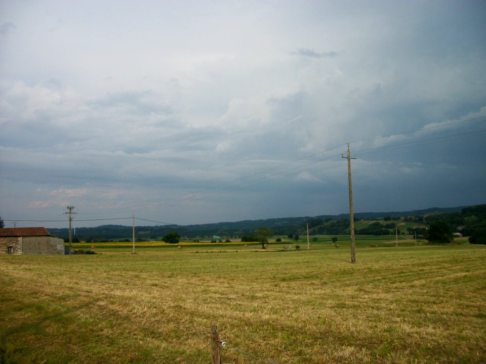 Balesta 29