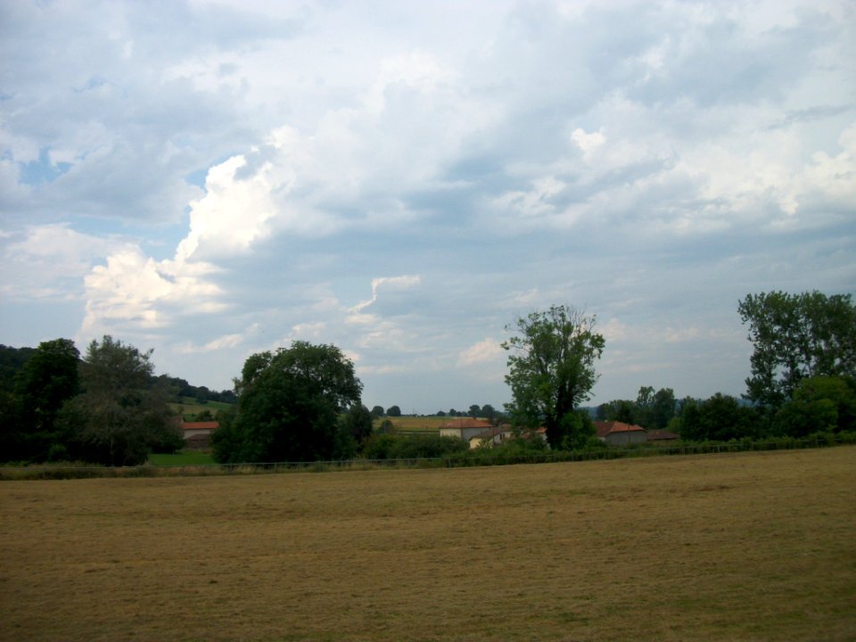Balesta 15