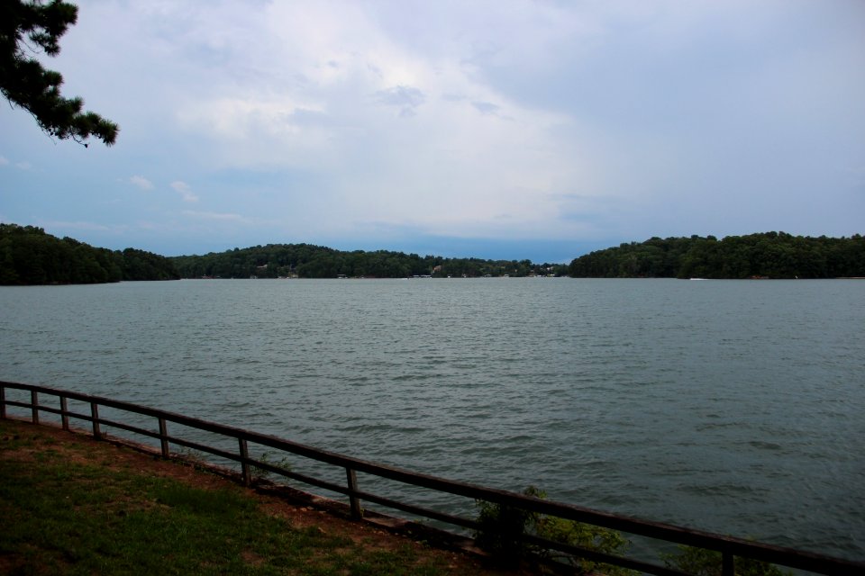 Baldridge Creek, Lake Lanier, GA July 2018