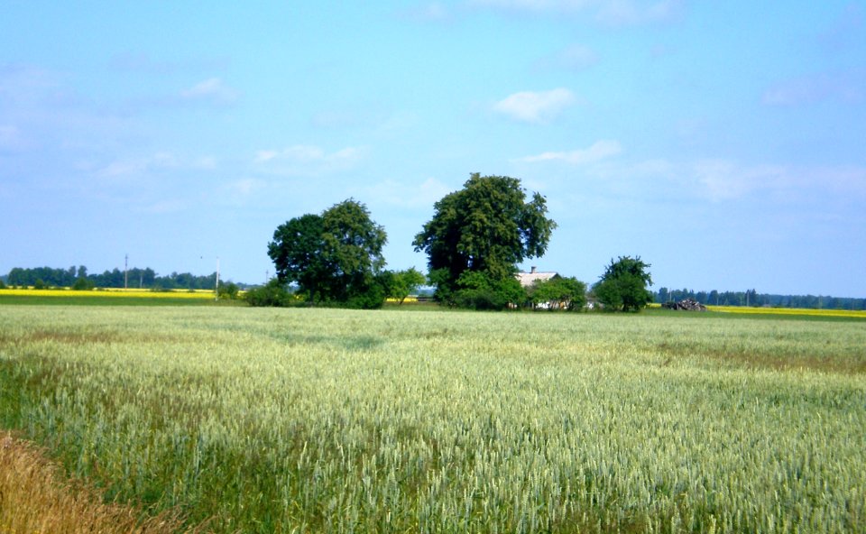 Bališkiai1