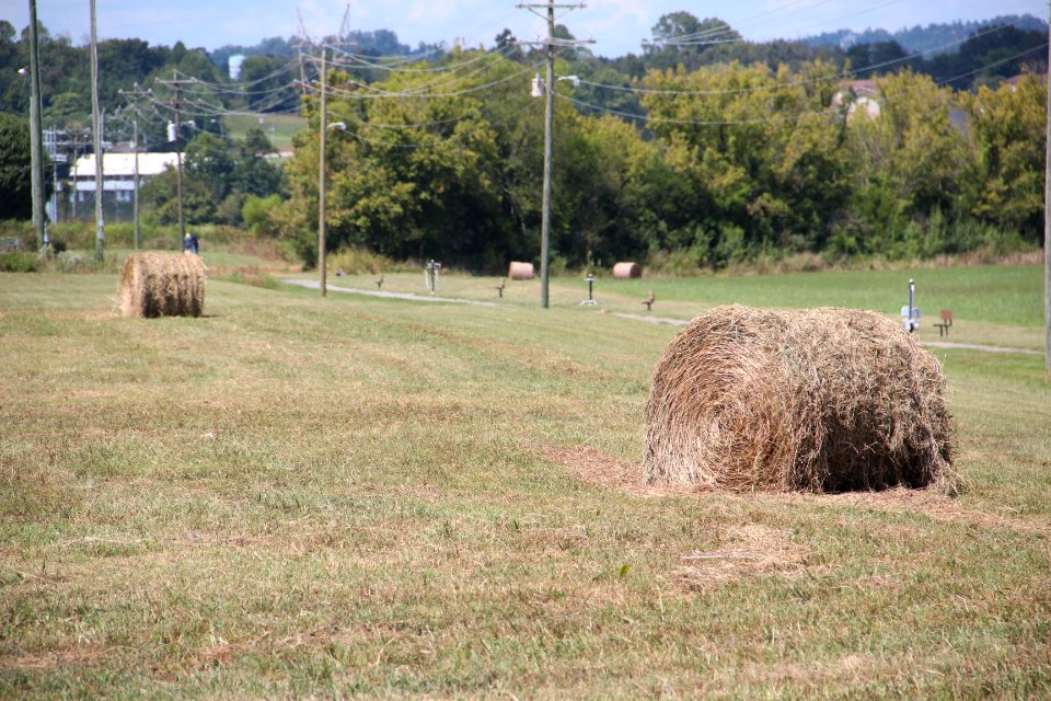 Bales of hay, Tellico Plains, Sept 2019