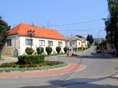 Bakonya