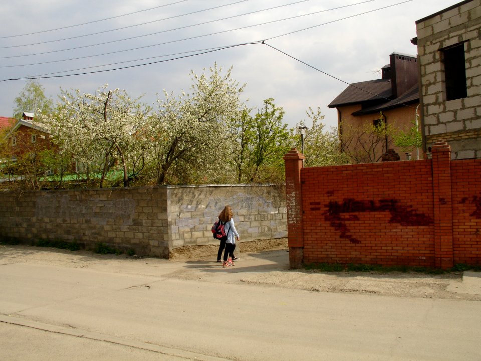 Balka Ryabinina street-2