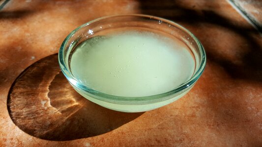 Organic bowl ayurveda
