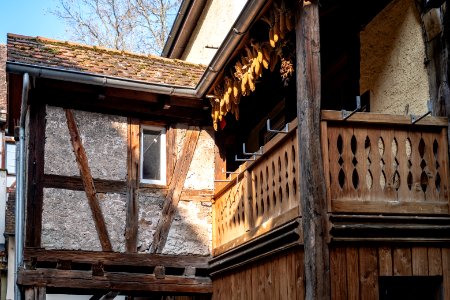Balkon des Hauses 10 in der Neustadtgasse in Tübingen mit Maiskolben 2019