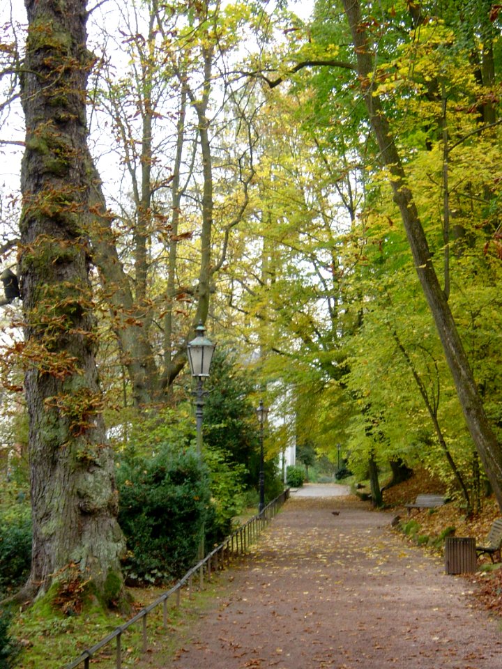 Bad Kreuznach, Rittergut Bangert 02142