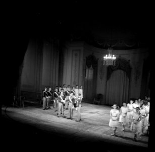 Balletuitvoering van het koninklijk Deens ballet in het koninklijk Deens theater, Bestanddeelnr 252-9228
