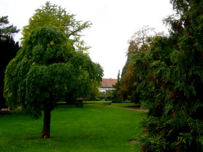 Bad Kreuznach, Rittergut Bangert 02162
