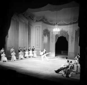 Balletuitvoering van het koninklijk Deens ballet in het koninklijk Deens theater, Bestanddeelnr 252-9224