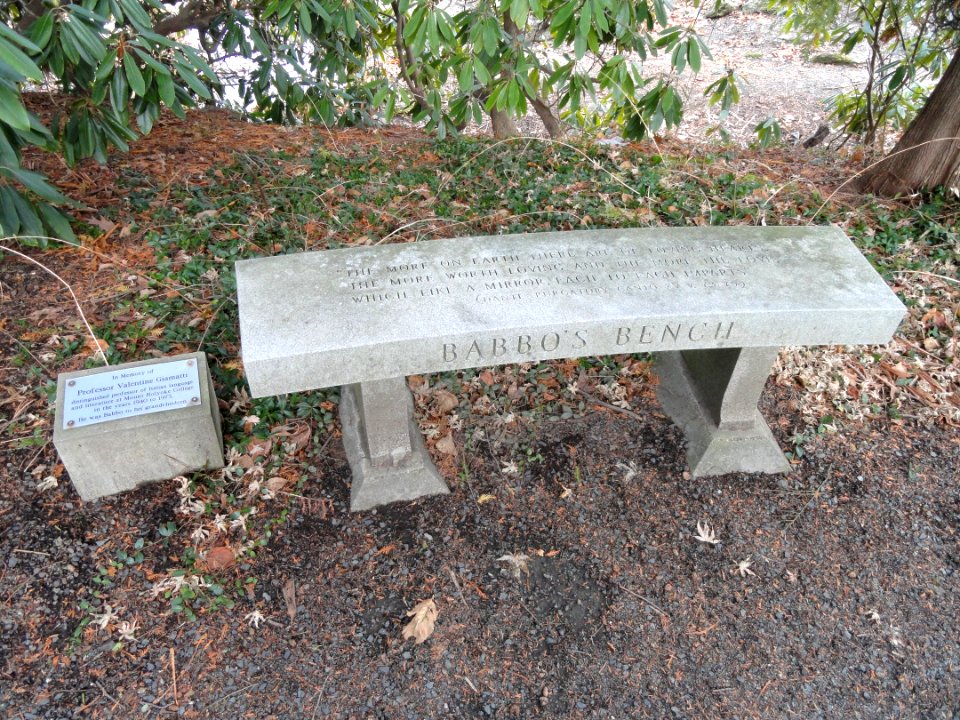 Babbo's Bench - Mount Holyoke College - DSC04554