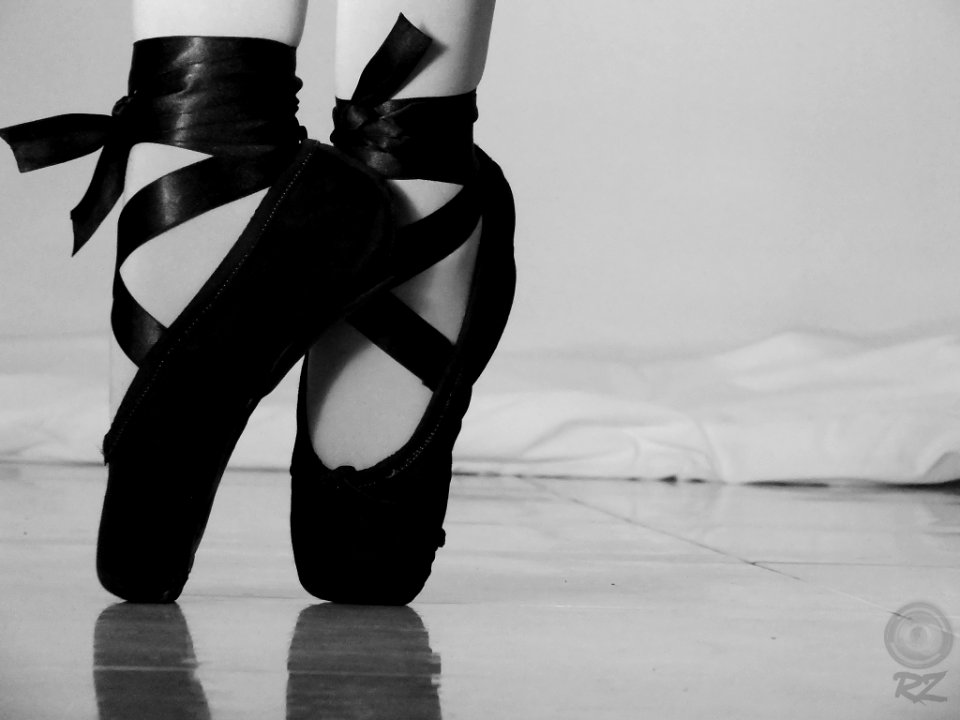 Ballet Slippers (193304933)