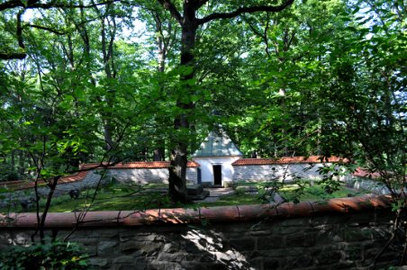 Bad Homburg, Waldfriedhof, Ehrenfeld, Totale