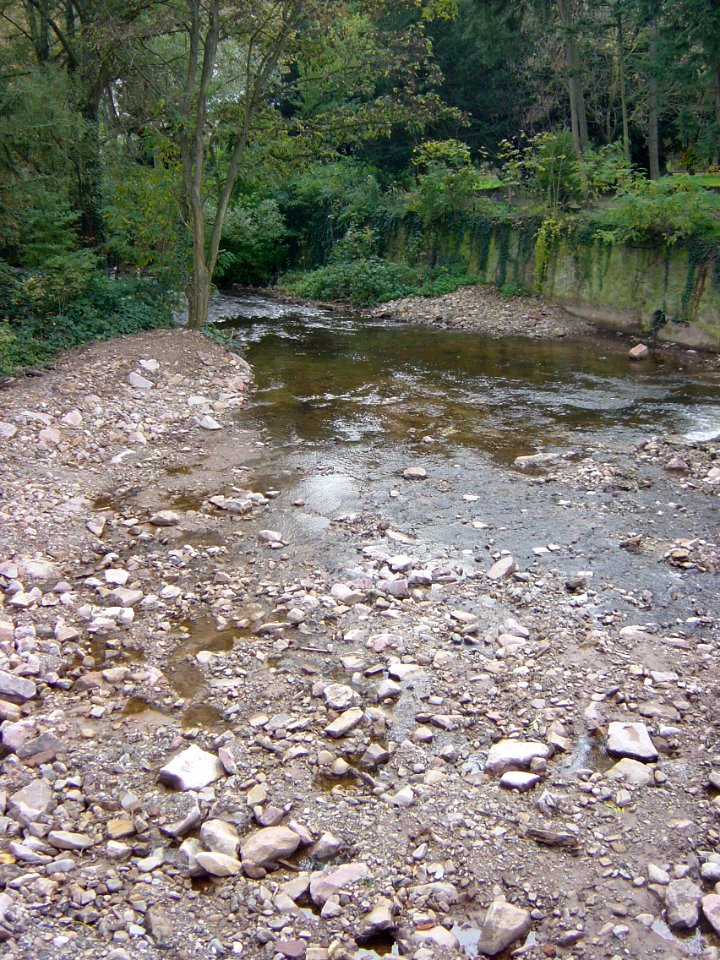Bad Kreuznach, Rittergut Bangert 02158