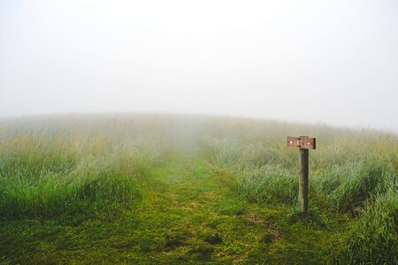 Path paths meadow photo