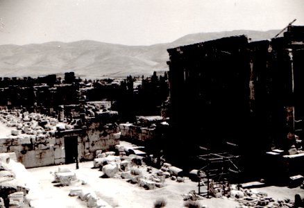 Baalbek 1955 View 1