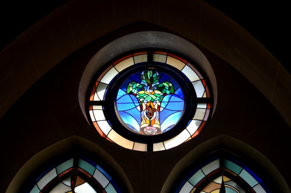 Bad Homburg, St. Marienkirche, Krypta, Glasfenster Baum (2)