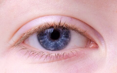 Blue eye portrait close up
