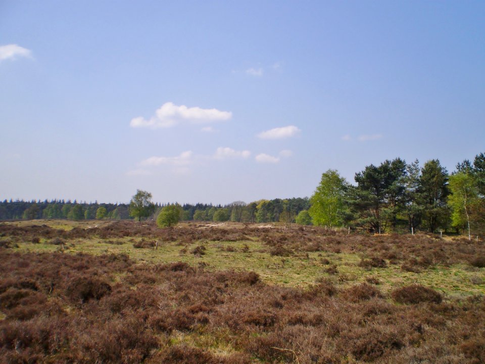 Baarn De Stulp 95