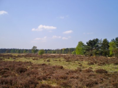 Baarn De Stulp 95