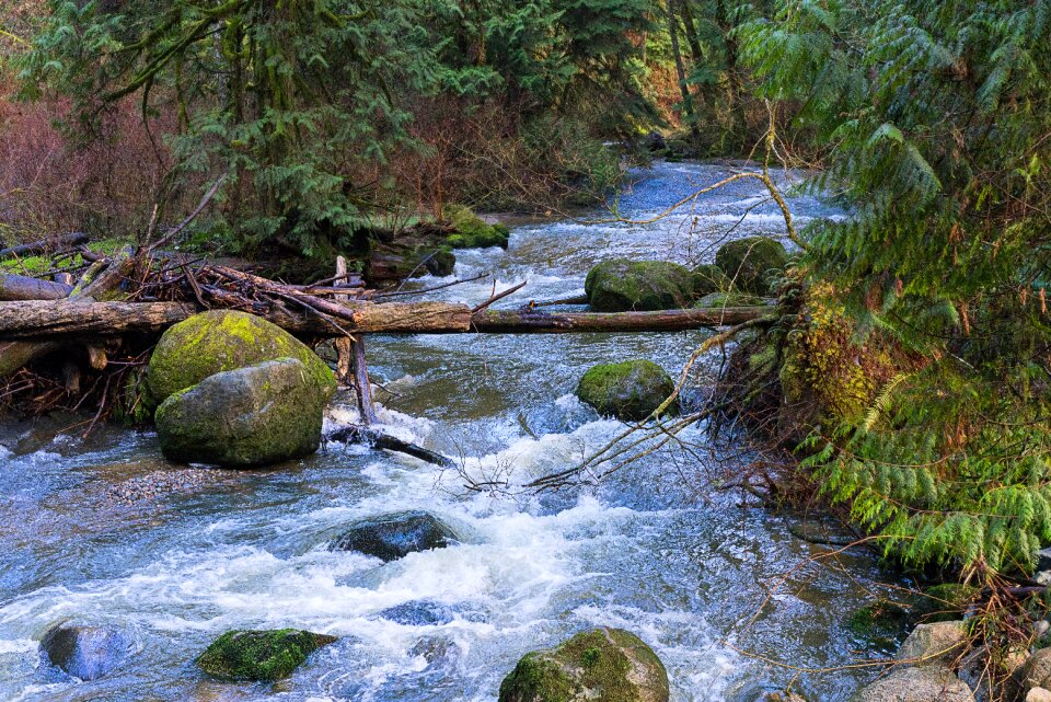 River stream spring photo