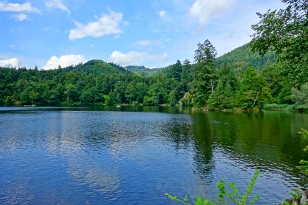 Bad Säckingen Bergsee 07-16