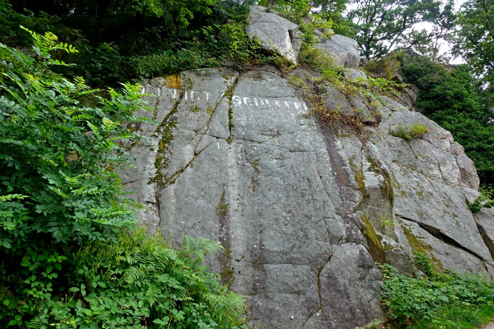 Bad Säckingen Bergsee Scheffelfelsen