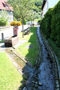 Bachlauf in Stettbach