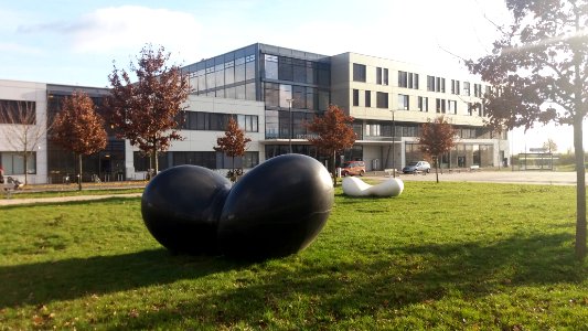 Bad Homburg, Hochtaunusklinik, Twist von Masayuki Koorida