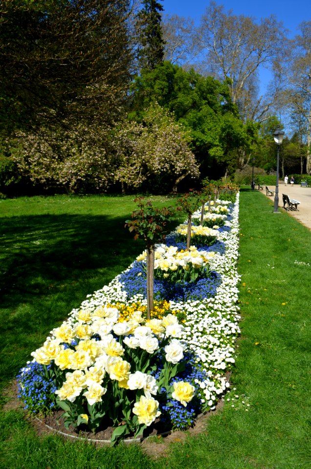 Bad Homburg, Kurpark, Blumenbeet