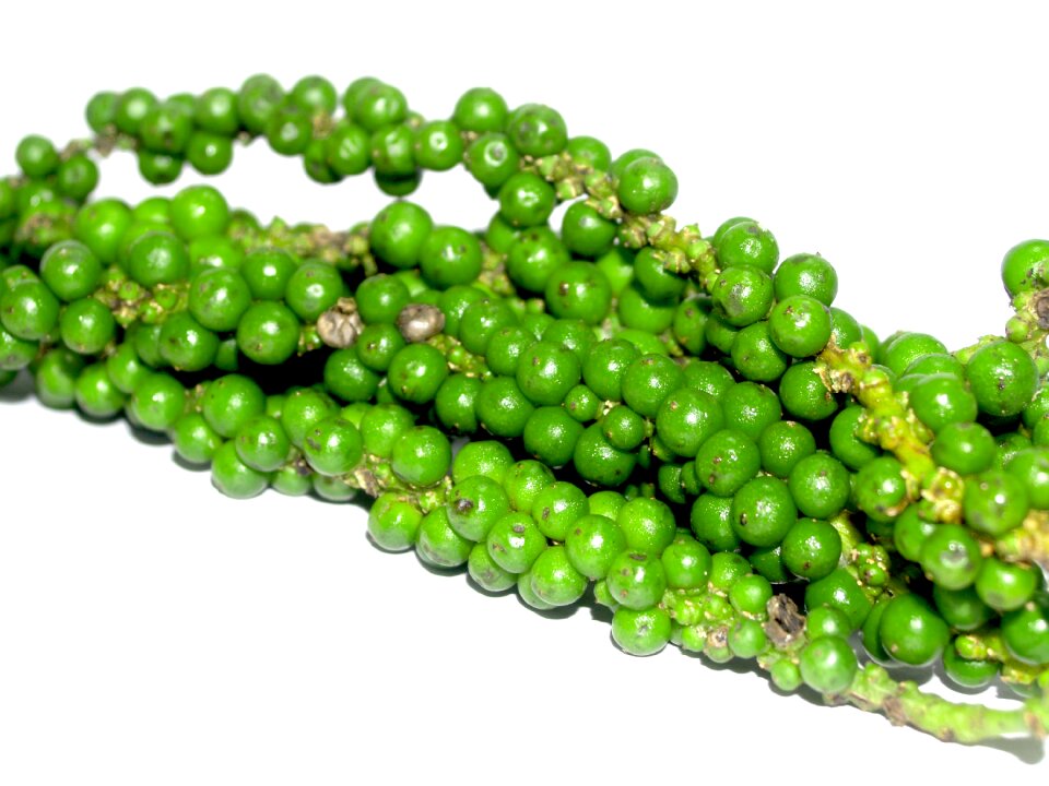 Black black pepper circle