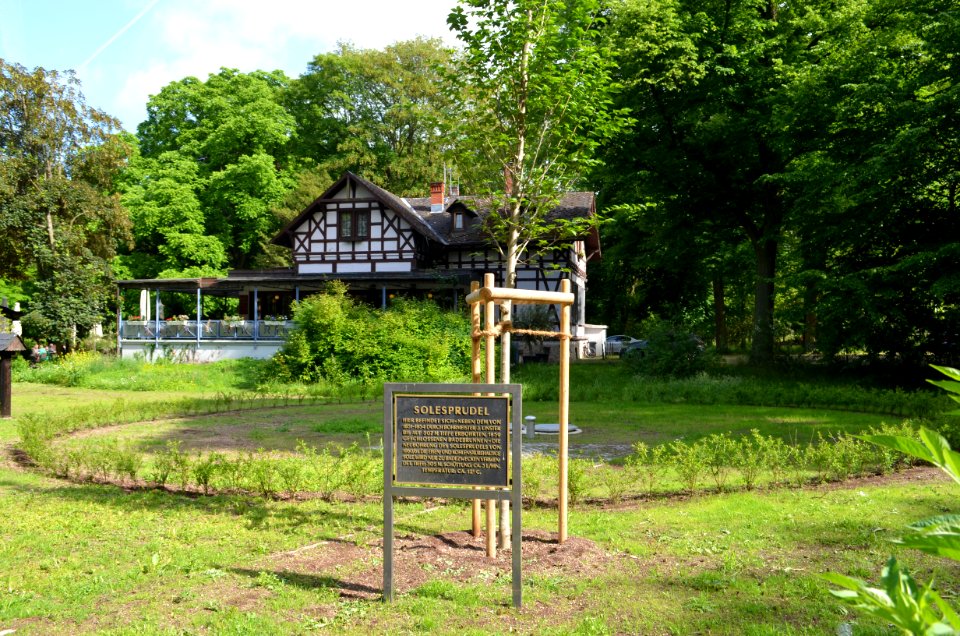 Bad Homburg, Kurpark. Solesprudel
