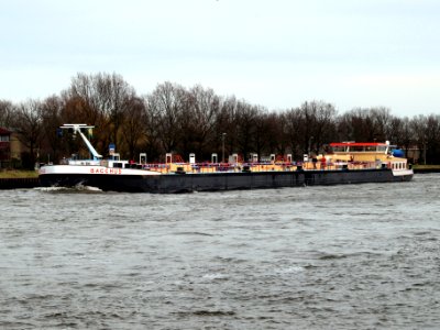 Bacchus, ENI 02334345, pic3