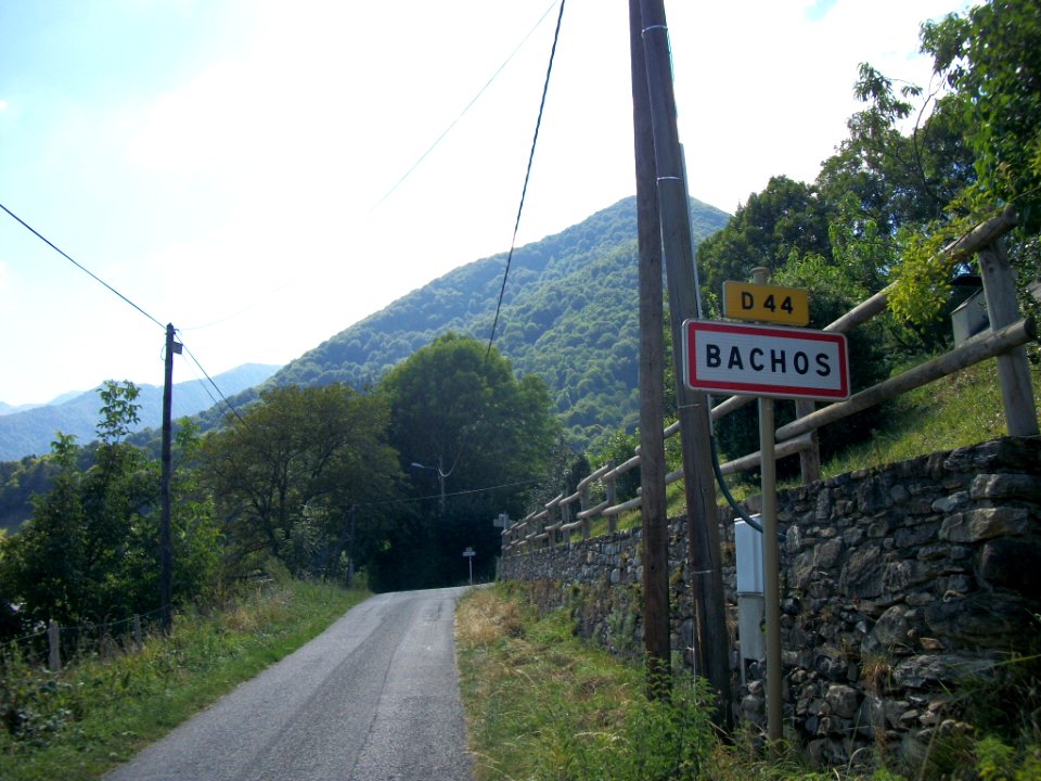 Bachos 01