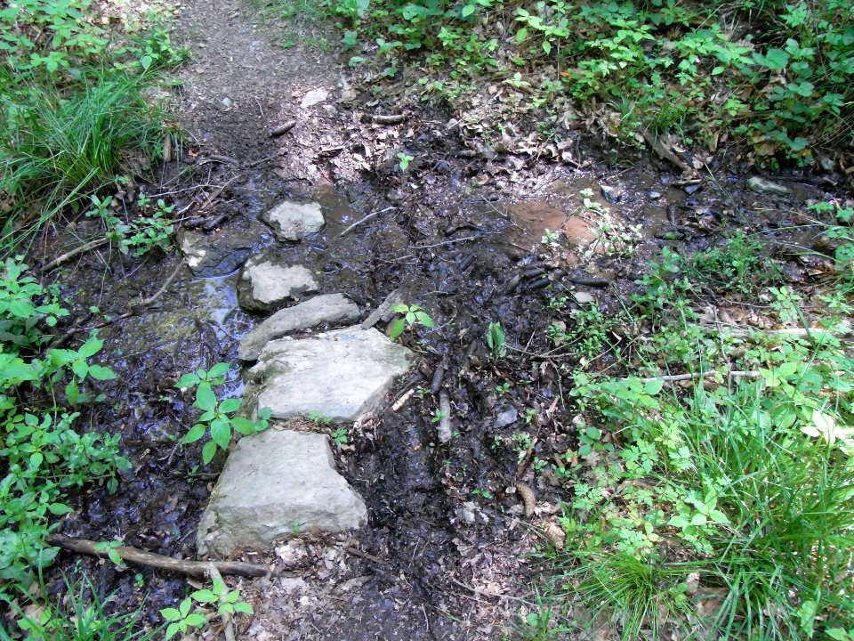 Bach aus der Rothwies Furt durch Zufluss R0014579