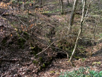 Bach aus der Rothwies Zufluss ober Terrasse R0013064