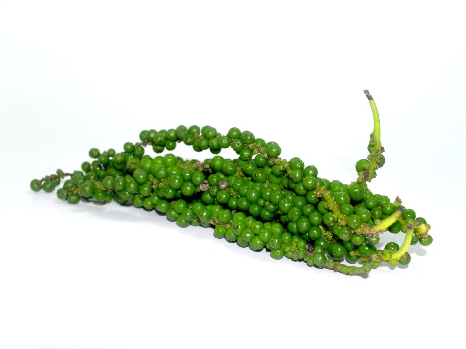 Black black pepper circle