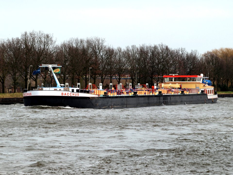 Bacchus, ENI 02334345, pic2