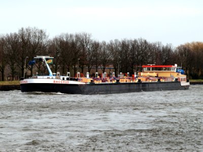 Bacchus, ENI 02334345, pic2