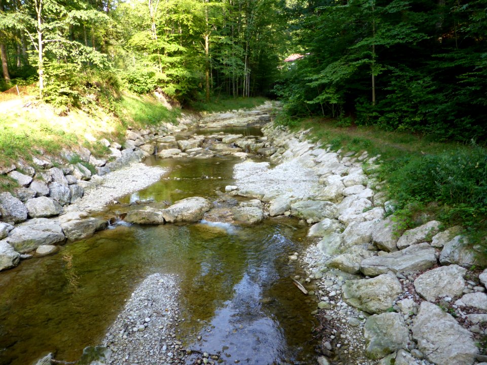 Bach-Heuberg-2015-08-04-2