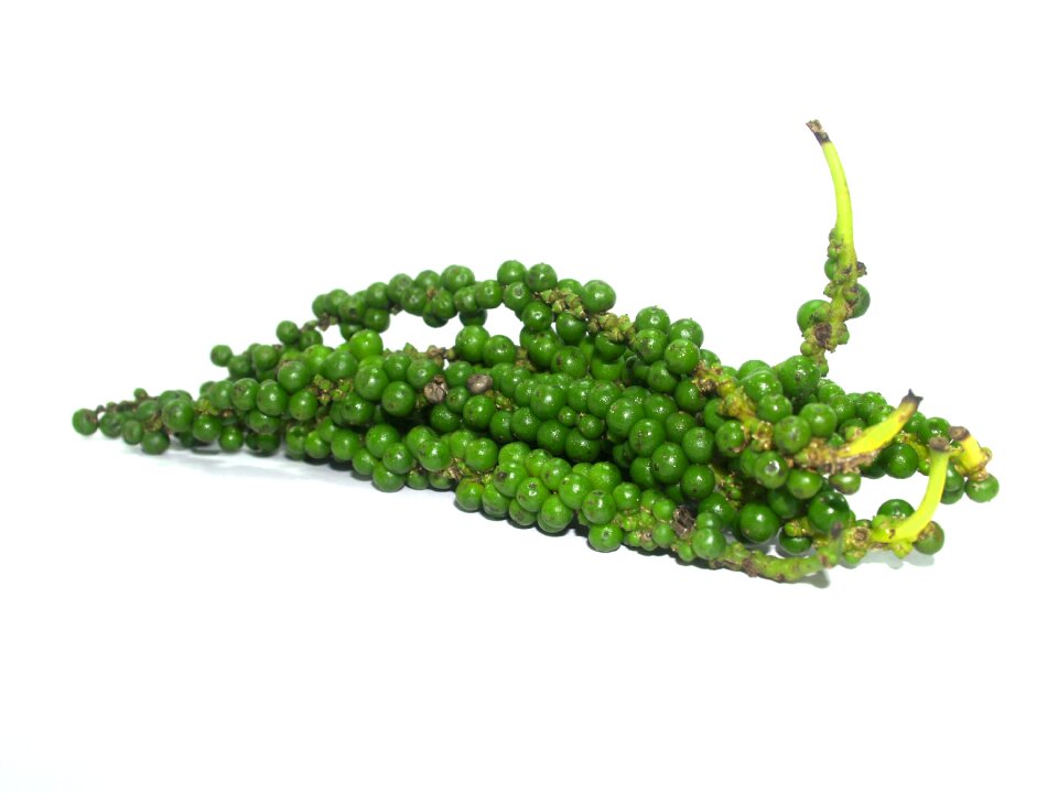 Black black pepper circle