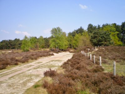 Baarn De Stulp 98